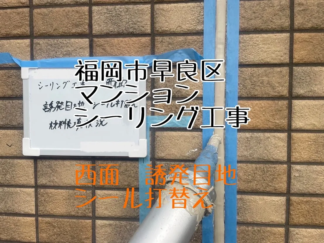 福岡県早良区マンションシーリング工事、【西面　誘発目地シール...