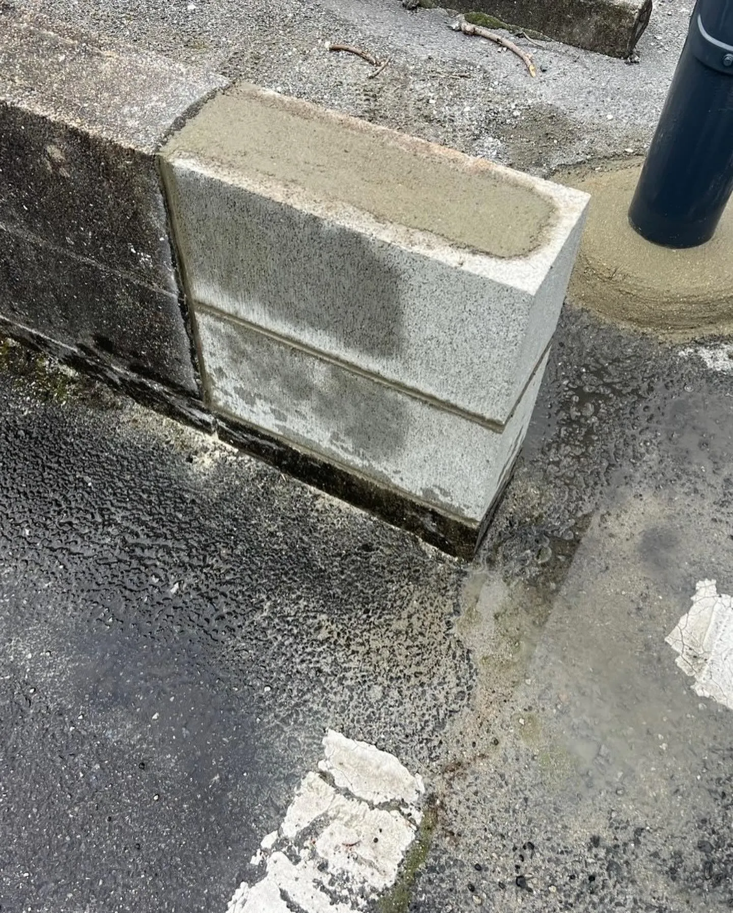 20250410080336_0_10.jpg