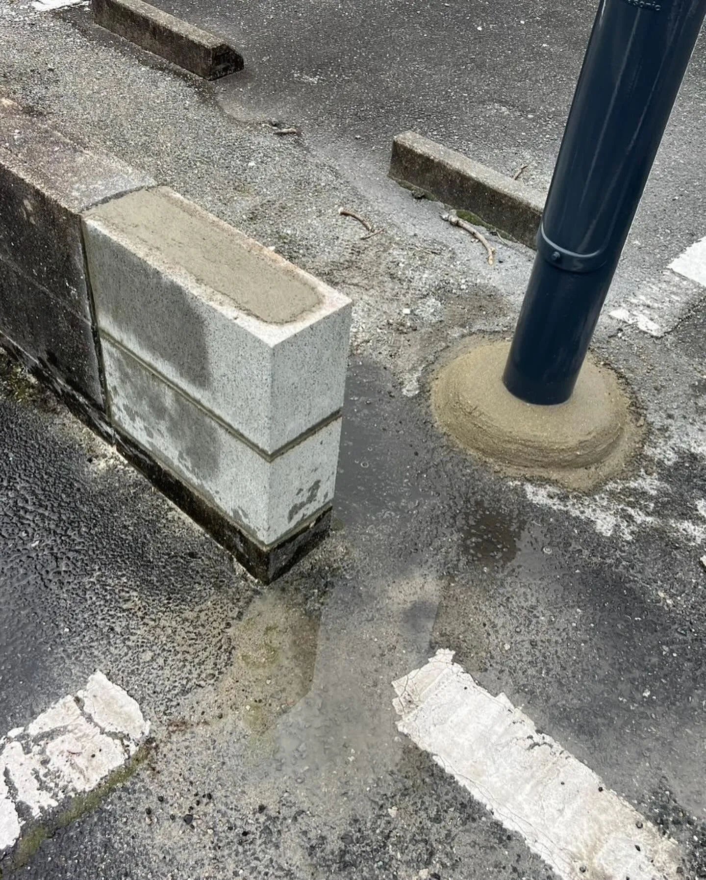 20250410080336_0_14.jpg