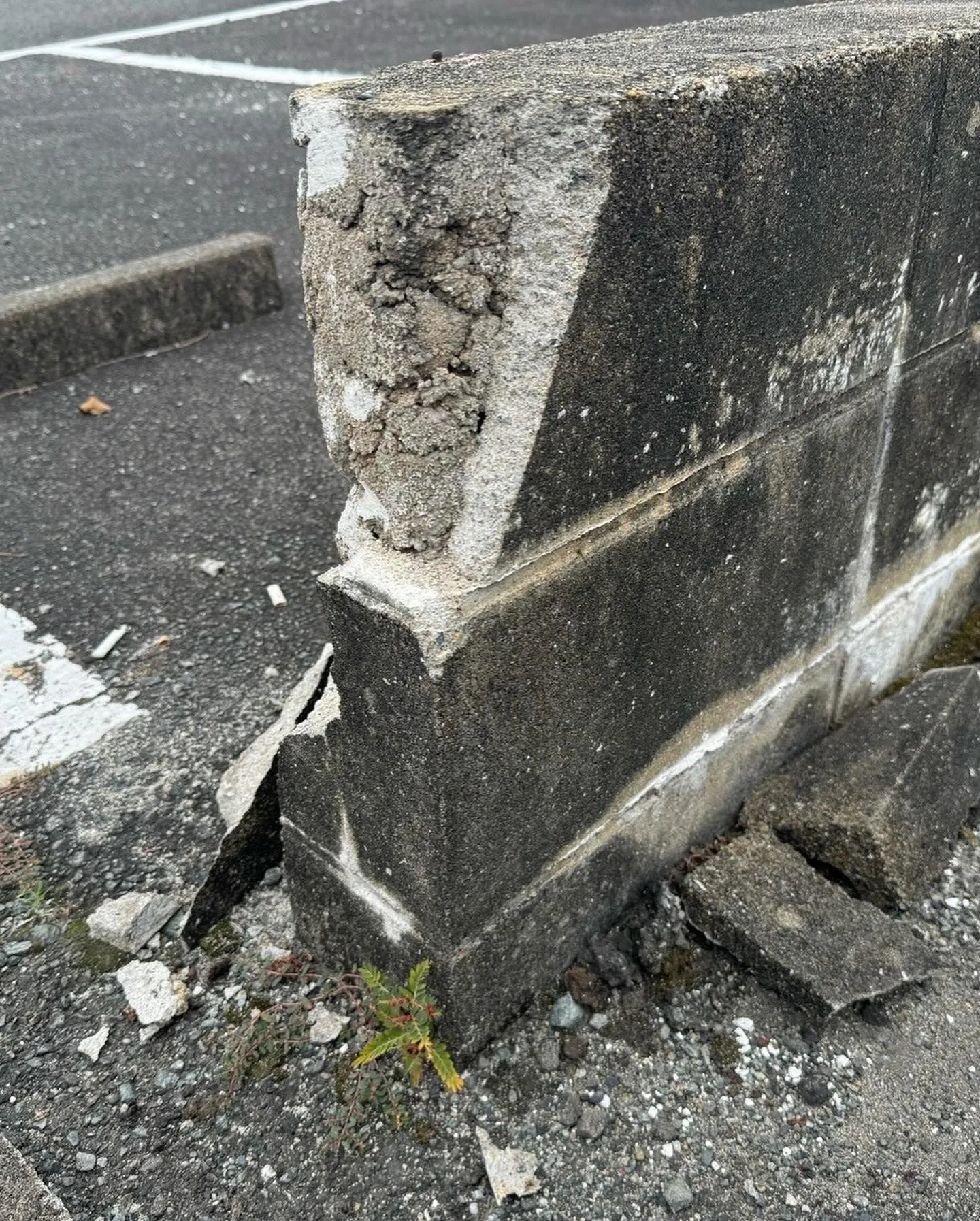 20250410080336_0_4.jpg