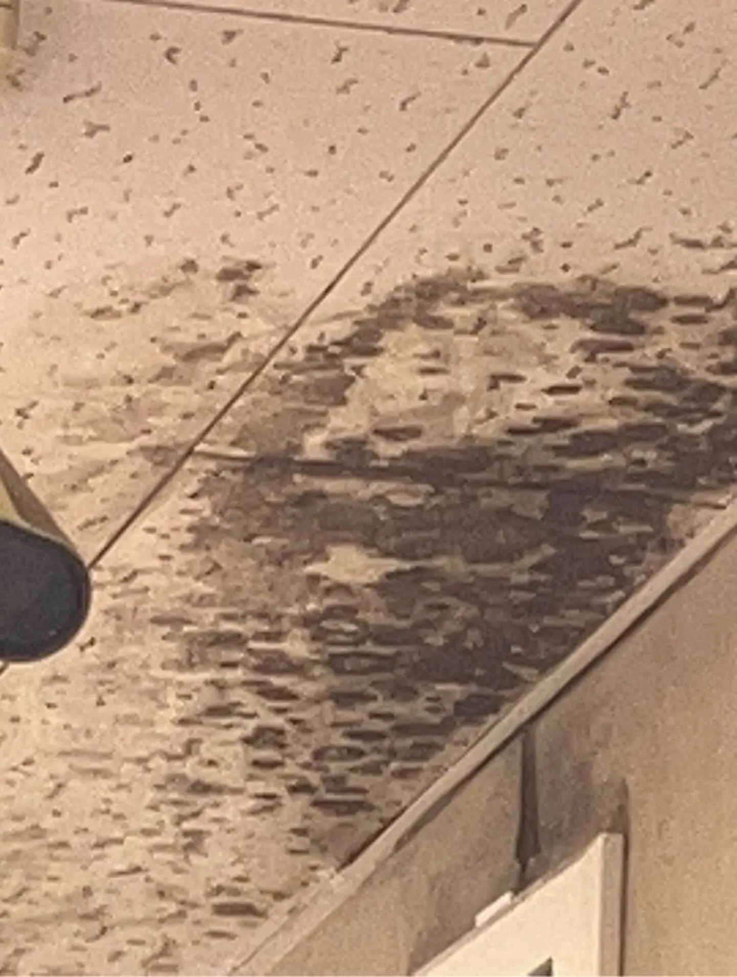 某飲食店舗大分店天井工事