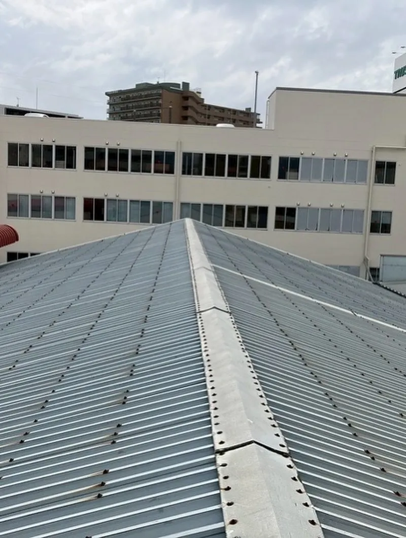 20250818073246_0_2.jpg