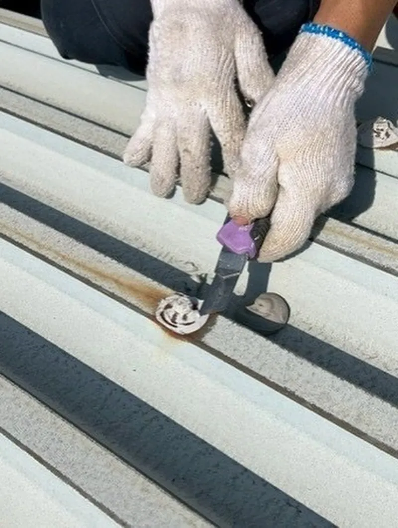 20250818073246_0_3.jpg