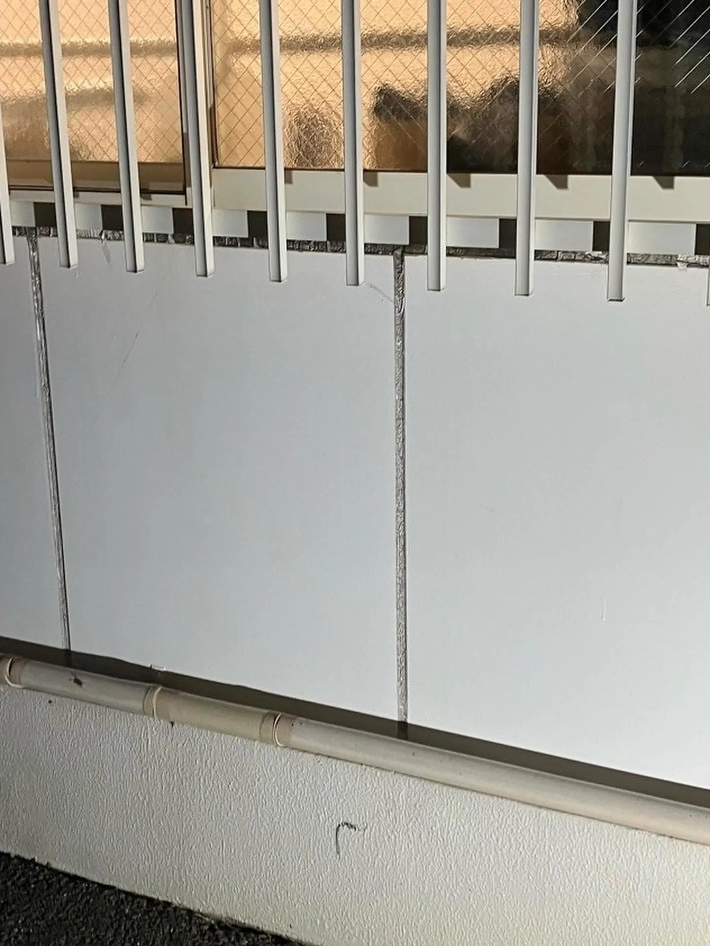 某衣服屋店舗中間店シーリング工事