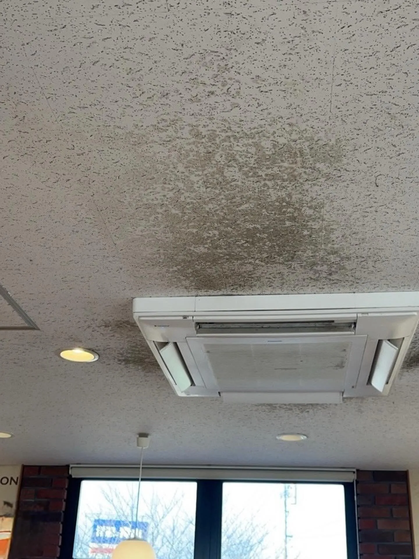 某飲食店舗熊本店天井工事