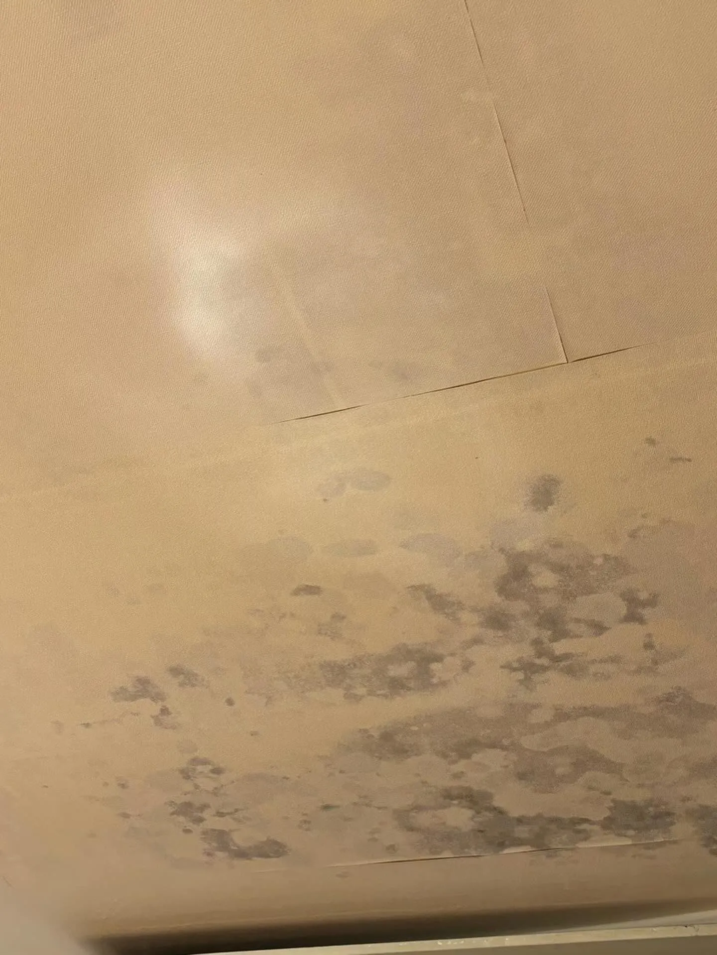 某回転寿司チェーン店舗柏の森店内装工事をご紹介させて頂きます...