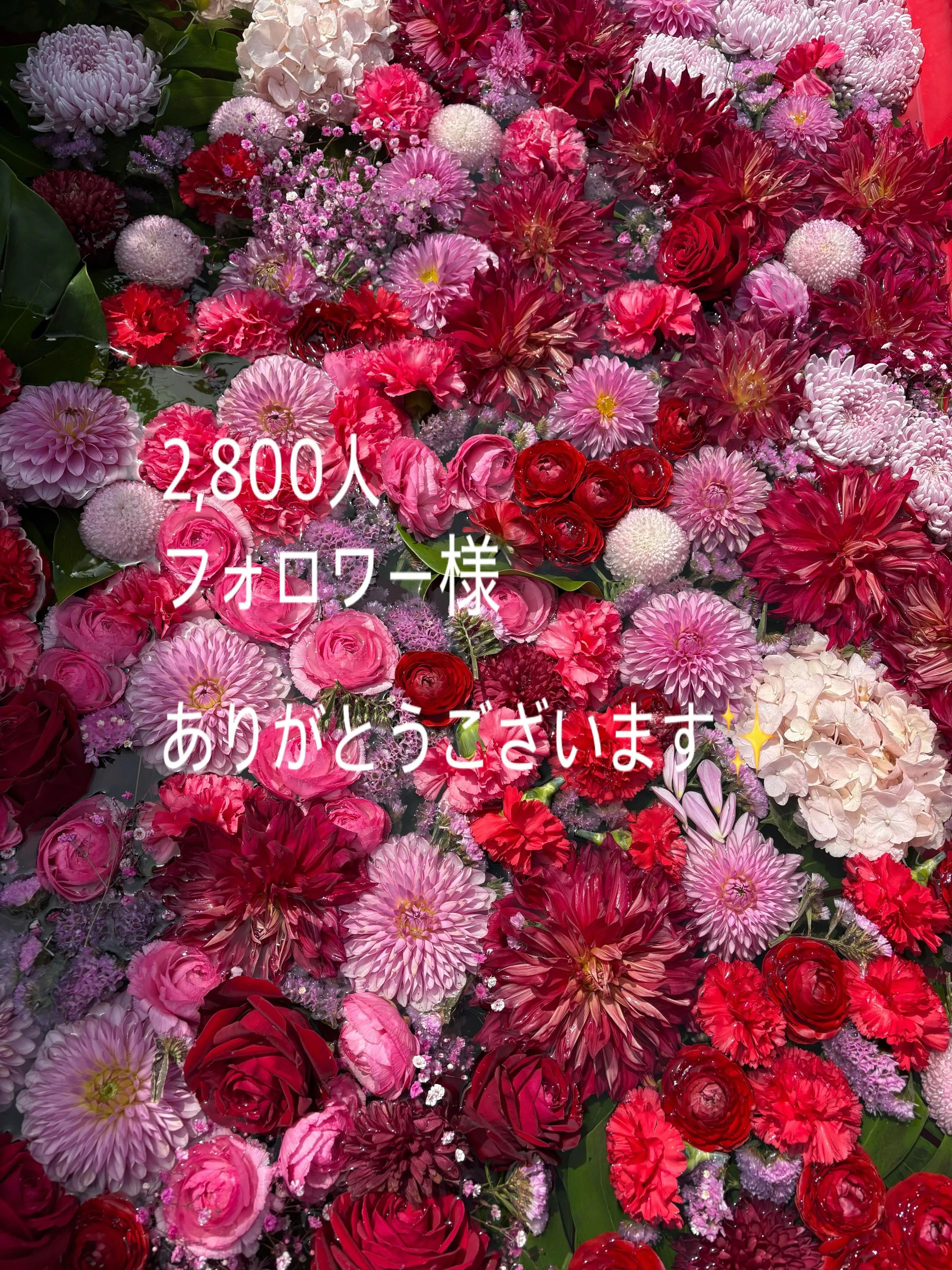 フォロワー様2800人突破🙇‍♀️🙇‍♀️🙇‍♀️フォローし...