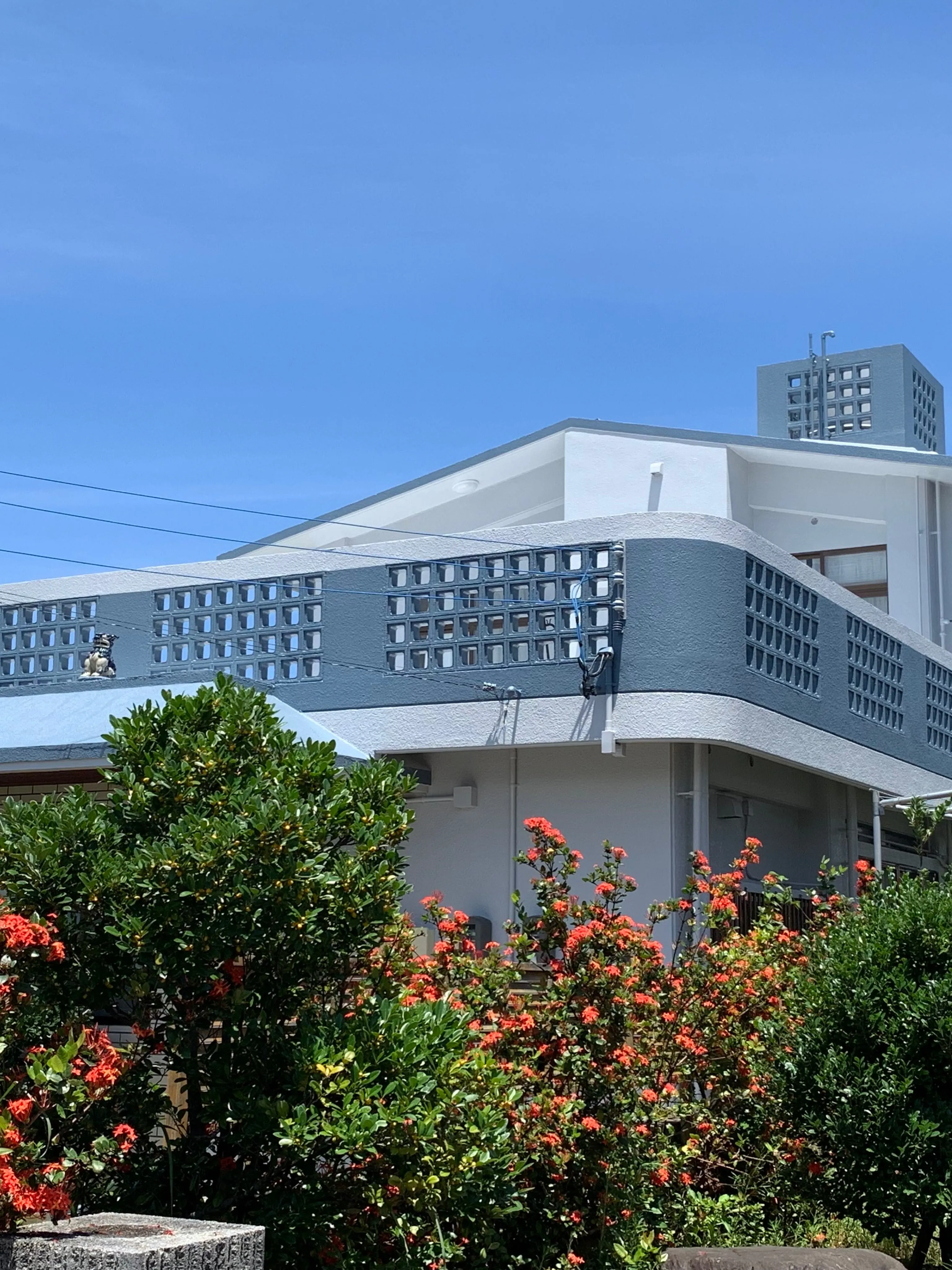 戸建て塗装工事をご紹介させて頂きます✨